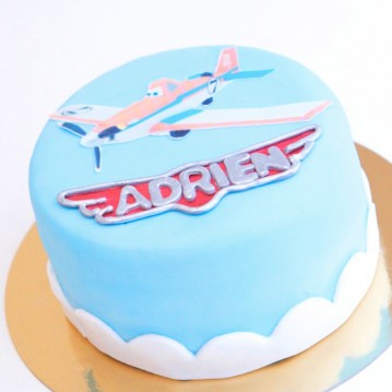 Gâteau Planes