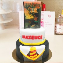 Gâteau Harry Potter livre