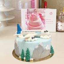 Gâteau Avion en vol